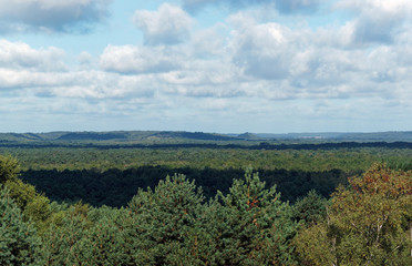 Fototapeta na wymiar point de vue de Hurlevent en forêt de Fontainebleau