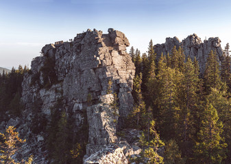 Rock mountain cliff among wild forest