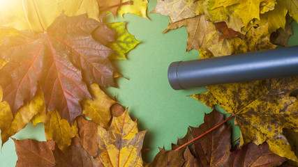 blower for leaves cleaning removes the autumn leaves of the concept of autumn and purity