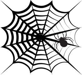 Fototapeta premium spider on the web