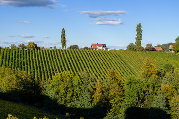 Famous touristic wine road, weinstrasse on the border between Austria and Slovenia