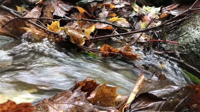 Water flowing on small creek or spring. Water, leaves and autumn.
