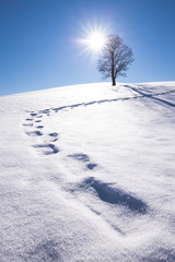 Obraz premium simple winter