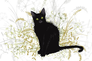 Black witch's cat is a Halloween.