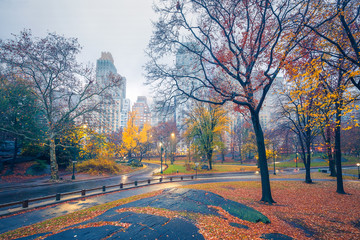 Central park at rainy morning, New York City, USA