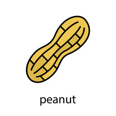Peanut color icon