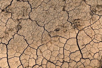 Dry soil closeup