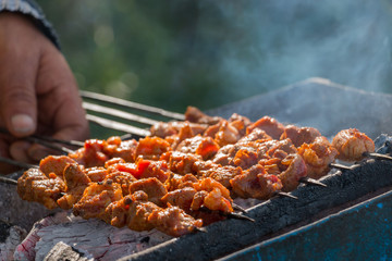 Indian lamb tikka