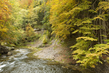 Fototapeta na wymiar Autumn river