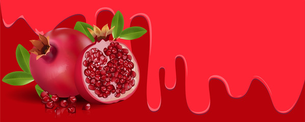 Pomegranate fruit on Red background, flowing juicy water and copy space for text. vector illustration.