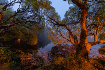 Obraz premium Fog over a small lake 