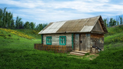 Fototapeta na wymiar Old wooden rural house