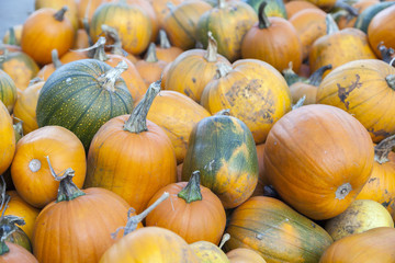 Autumn vegetables and pumpkins in a random pile