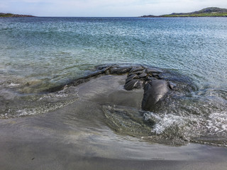 Sandy Cove Beach near Tilting, Fogo Island, Newfoundland
