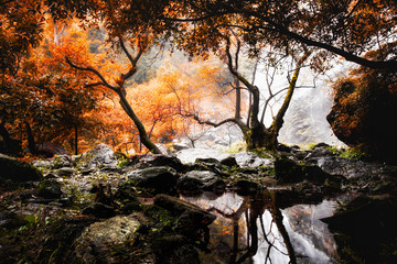 Fototapeta premium Deep forest waterfalls