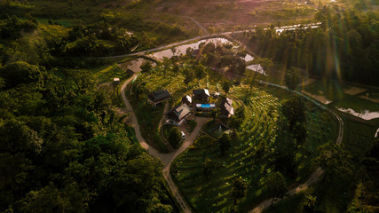 Mystery Living in Nature Throne