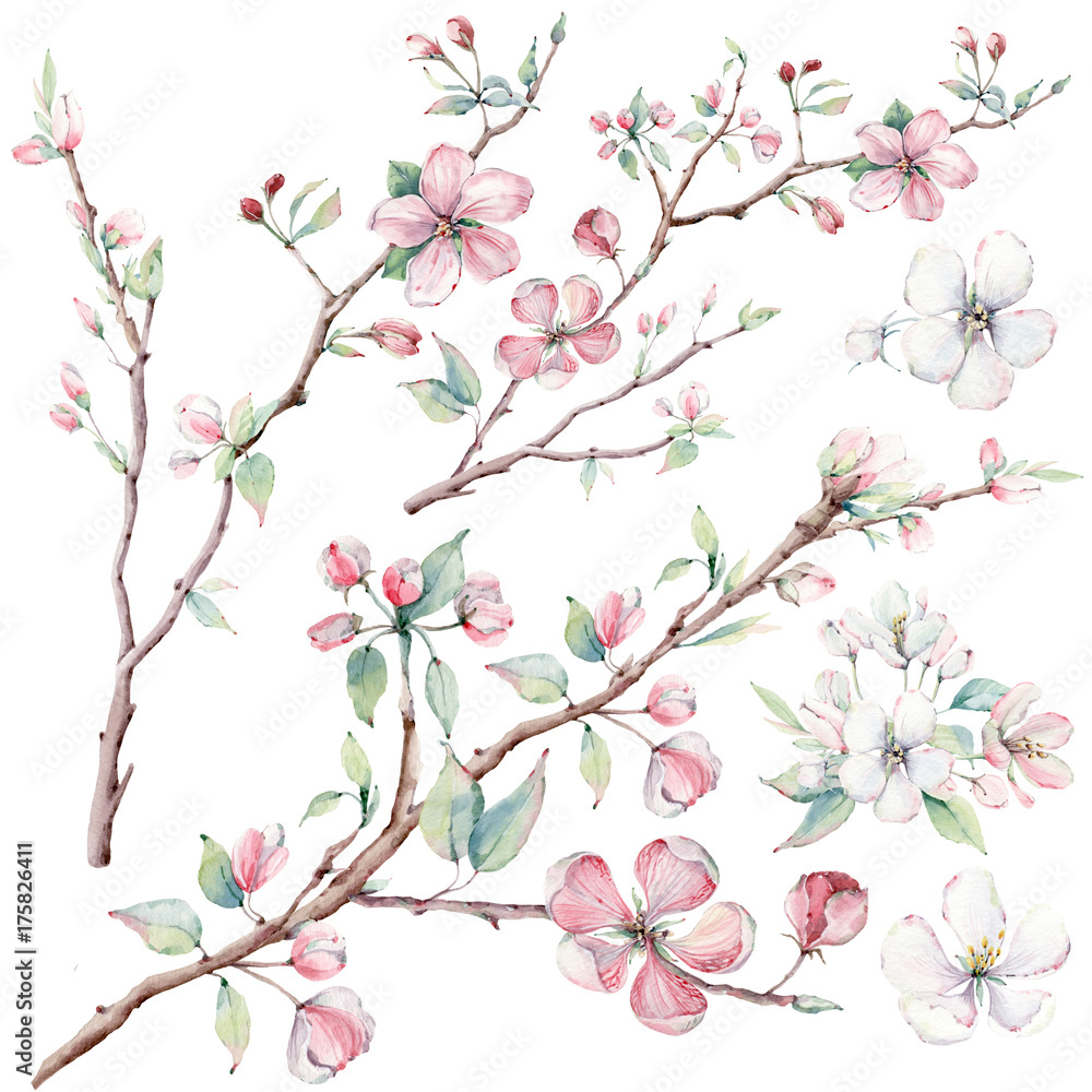 Wall mural hand drawn apple tree branches and flowers, blooming tree.