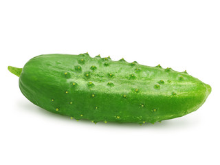 Fresh green ripe cucumber isolated on white background. Design element for product label, catalog print, web use.
