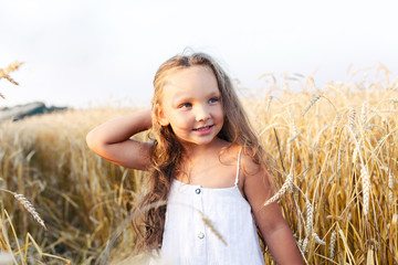 Little beautiful smiling girl on a gold wheat field walking at sunset. Happy five years old girl smiling and laughing in summer day at nature