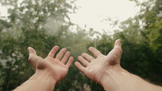 Hands In Rain On Background Of Trees Slow-Mo
