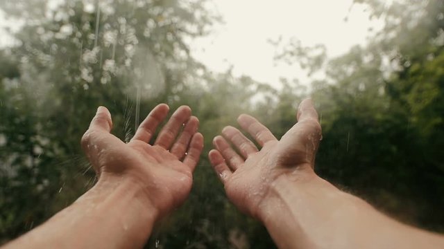 Hands In Rain On Background Of Trees Slow-Mo