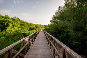 Fototapeta na wymiar A boardwalk bridge to Playa de Muro beach in Can Picafort, Mallorca
