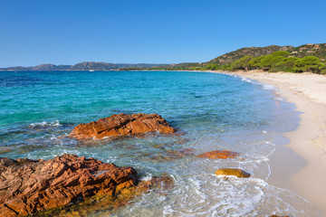 Fototapeta premium Corsica - Palombaggia Beach