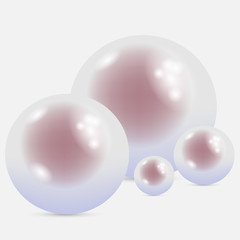 isolated pink pearls