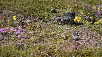 Landschaft im Snæfellsjökull-Nationalpark auf der Snaefellsnes Halbinsel im Westen Islands