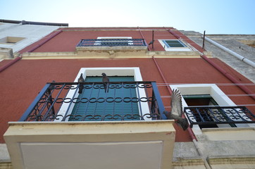 settle down a apulia