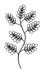 Vector illustration leaves and in doodle style. Floral, ornate, decorative, tribal vector design elements. Black and white background. Zentangle hand drawn coloring book page