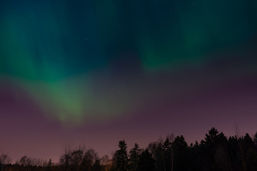 Aurora borealis above the scandinavian forest captured in Helsinki Finland Northern Europe 