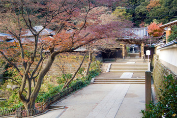 Japanese Buddhist Temple between the trees in Autumn
