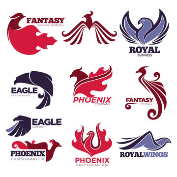 Phoenix fire bird fantasy eagle vector template company icons set