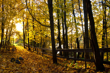 Obraz premium Autumn juice