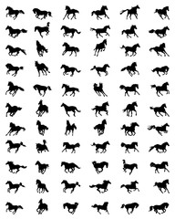 Black silhouettes  of horses in galloping on a white background