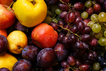 Apples plums and grape on a wooden background freshly washed on a plate