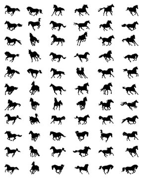 Black silhouettes  of horses in galloping on a white background