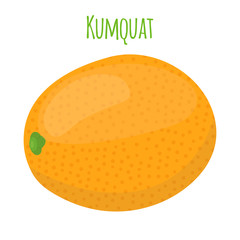 Tropical kumquat, exotic fruit. Cartoon flat style. Vector illustration