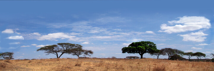 Savanne, Landschaft in Ostafrika, Panoramaaufnahme