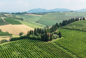 Fototapeta premium Typical Tuscan farmhouse in Italy