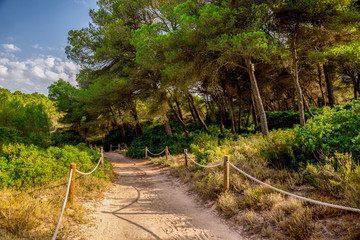A rope fenced walking path through a small natural reserve in Alcudia