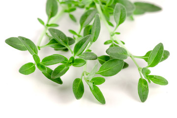 Obraz premium Fresh thyme spice isolated on white background