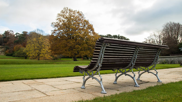 Relaxing bench in the garden
