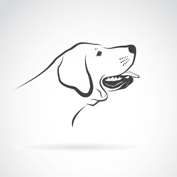Vector of a labrador dog head on a white background. Pet. Animals.