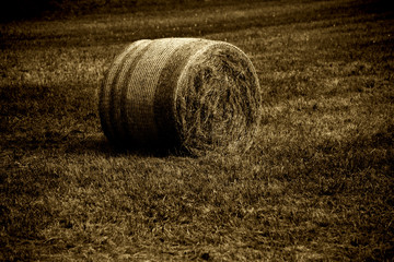 Strohrolle  / Ein abgeerntetes und gemähtes Getreidefeld mit einer Strohrolle auf dem gemähten Getreidehalmen.