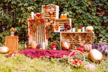 Beautiful autumn. Autumn scenery in nature. Apples and orange pumpkins in a clearing in an autumn park