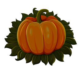 Halloween pumpkin. Isolated on white background. Vector illustration.