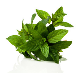 a bunch of fresh peppermint on a white background © motorolka