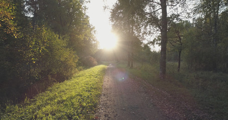 Fototapeta premium pov walk shot in wild park in september at sunset